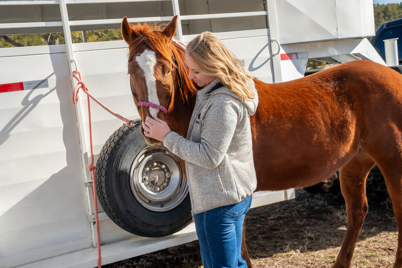 Woman petting a chestnut horse tied to a trailer in a sunny outdoor setting.